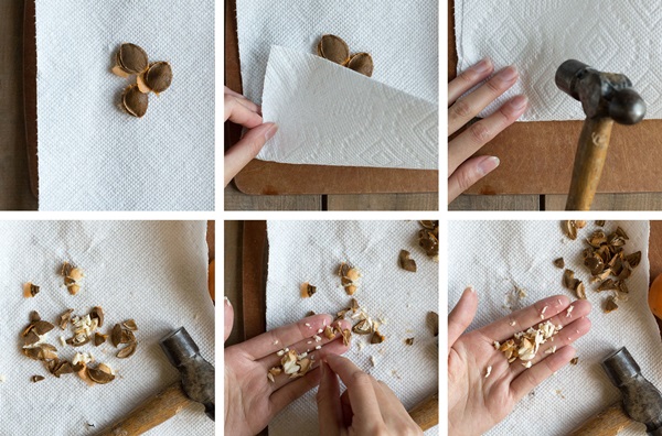 Marhuľový džem - kráľovský recept