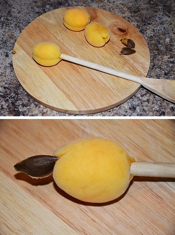 Marhuľový džem - kráľovský recept