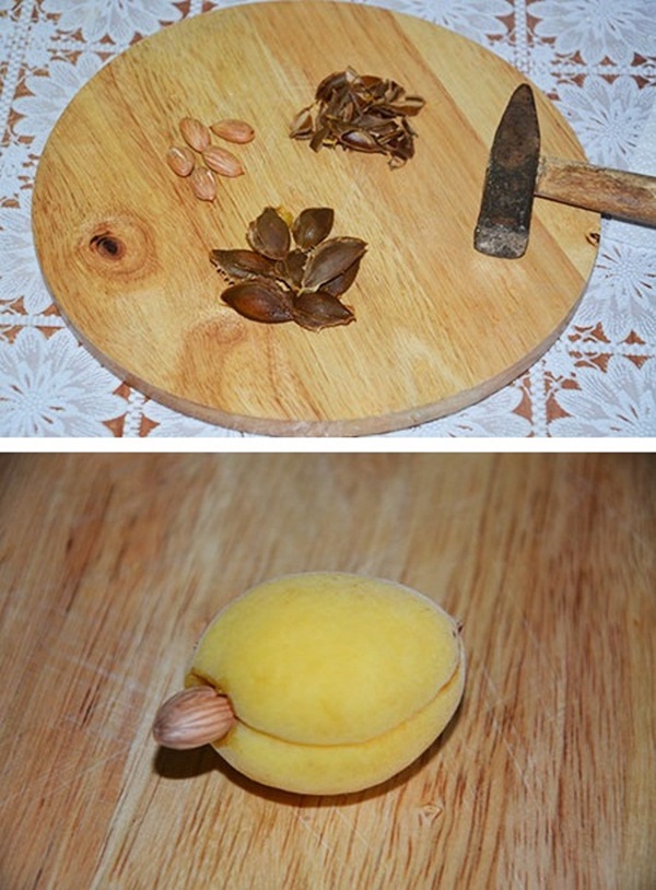 Marhuľový džem - kráľovský recept