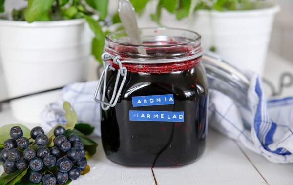 Zaseknutie z čiernej chokeberry