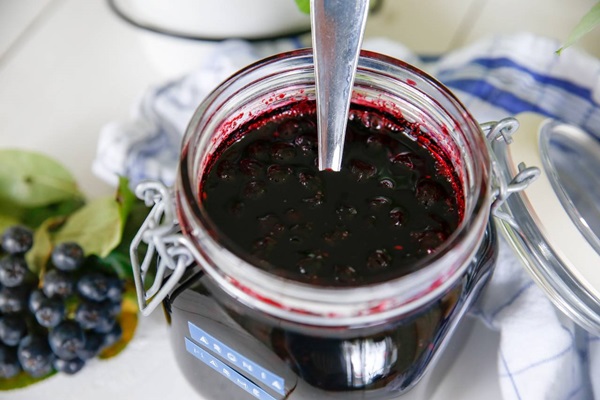 Zaseknutie z čiernej chokeberry