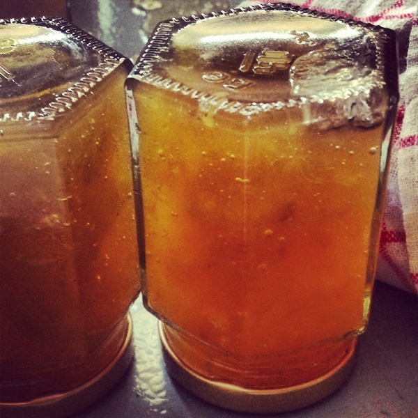 Jam z melóna a kôry melóna pre zimu - jednoduché recepty