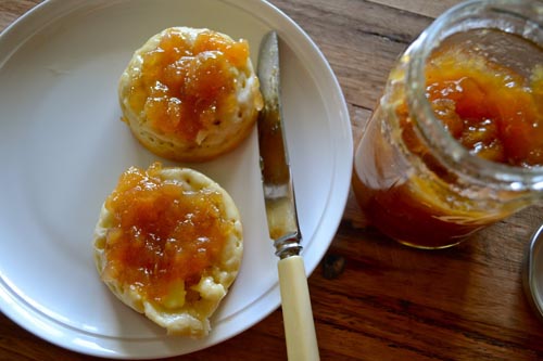 Jam z feijoa bez varenia, recept na živé džem s fotografiou
