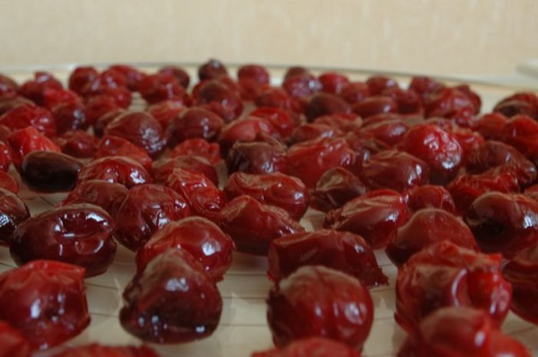 Cherry v zime - recepty - jam so semenami a bez semien, päťminútových briefingy, džemu, želé bez želatíny, čerešňový kompót Cherry v zime - recepty - jam so semenami a bez semien, päťminútových briefingy, džemu, želé bez želatíny, čerešňový kompót