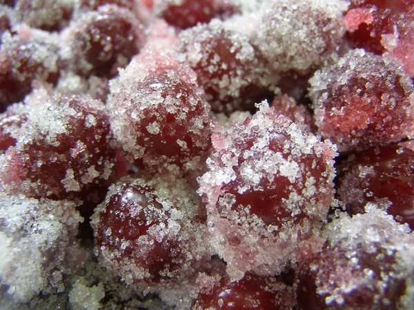 Cherry v zime - recepty - jam so semenami a bez semien, päťminútových briefingy, džemu, želé bez želatíny, čerešňový kompót