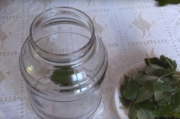 Jablká na zimu v bankách - predsádky a recepty - namočené a kliny, kompóty, džemy, koláče. Ako udržať jablká v zime doma