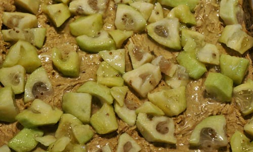 Prázdne feijoa na zimu, najlepšie recepty s fotografiou