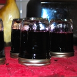 Želé z čučoriedok na zimu - foto recept na varenie