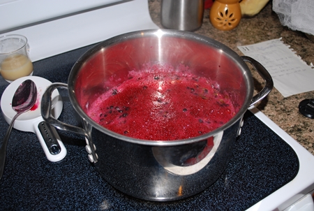Želé z čučoriedok na zimu - foto recept na varenie