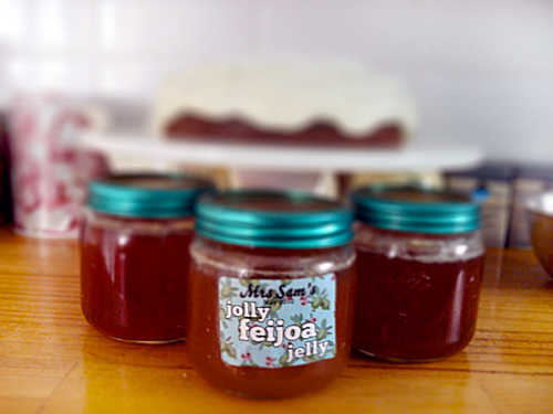 Želé z feijoa na zimu, recept s fotografiou