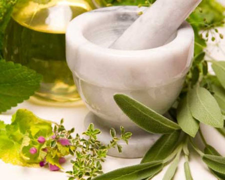 Astragalus: terapeutické vlastnosti, foto, aplikácia