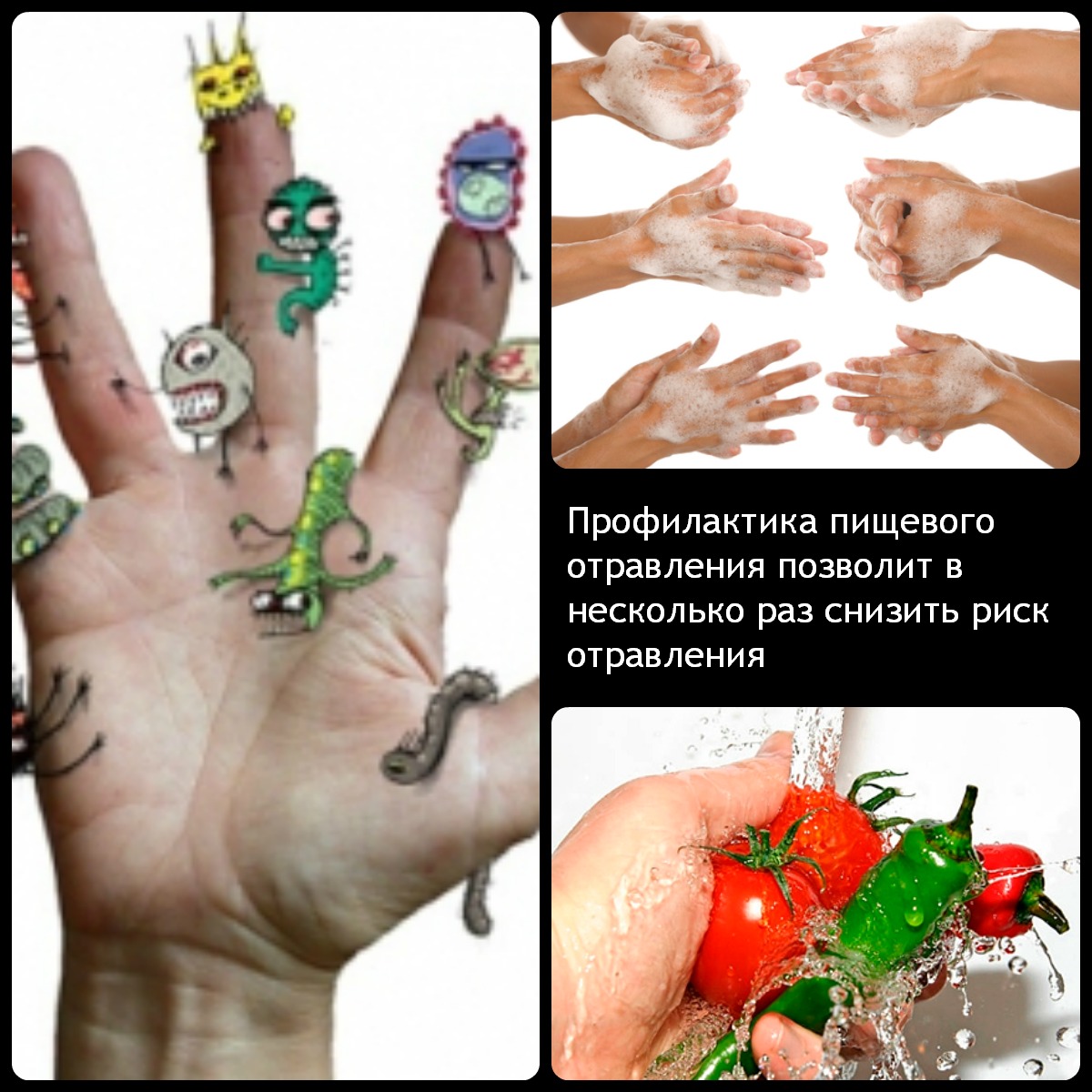 Čo jesť po otravách