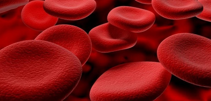 Hemoglobín v tehotenstve