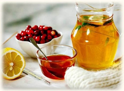 Bearberry: liečivé vlastnosti, aplikácia, foto