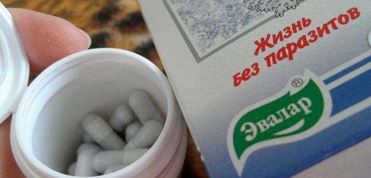 Antiparazitárnym liekom je Troychchatka Evalar. Zloženie. Pokyny. recenzia